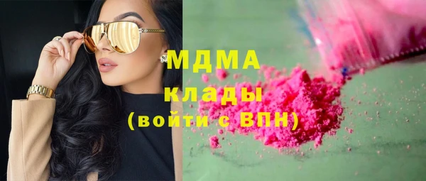 шишки Арсеньев