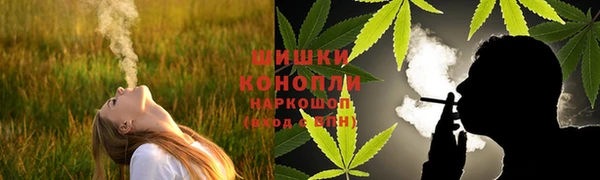 шишки Арсеньев