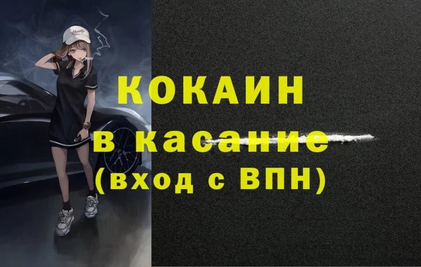 шишки Арсеньев