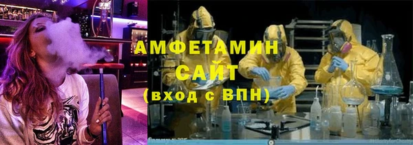 шишки Арсеньев